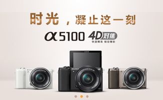 佳能索尼各有所長 各家入門級微單點評